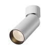 Потолочный светильник MAYTONI FOCUS ZOOM C055CL-L12W2,7K-SS-W