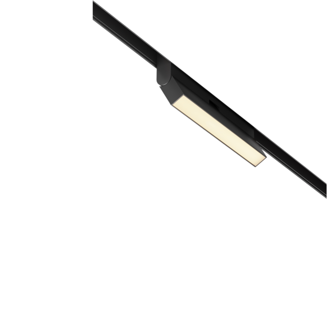 Трековый светильник MAYTONI BASIS ROT TR036-2-12W2.7K-B